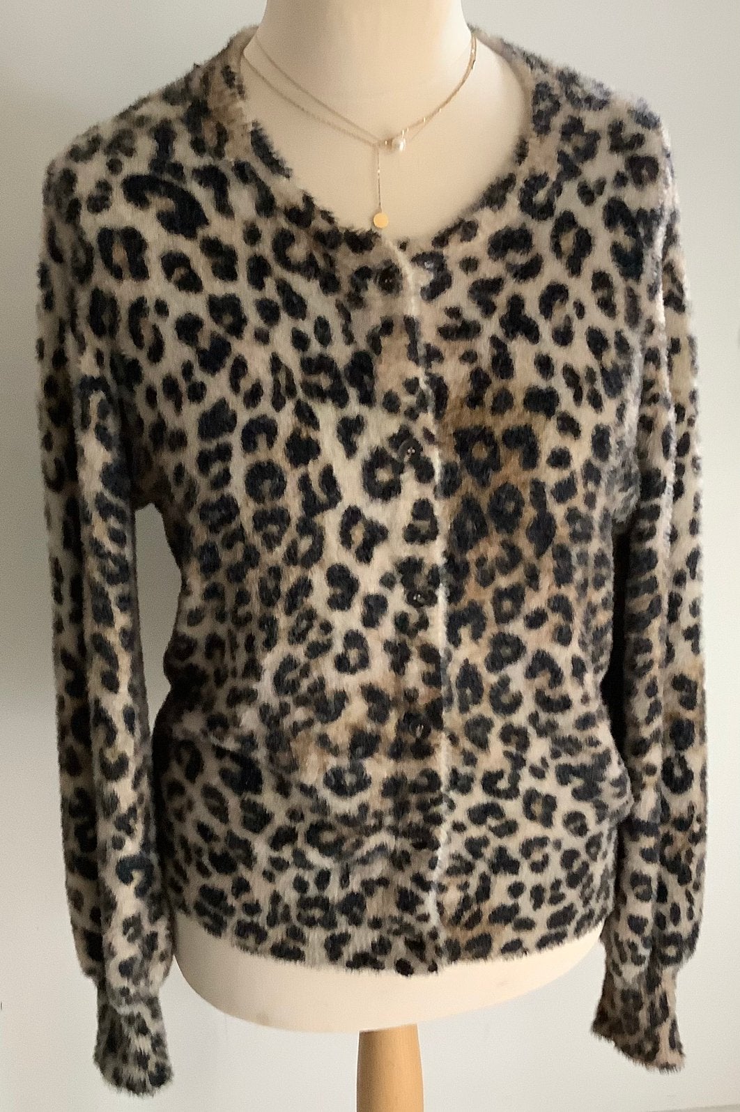 Ruud Rooijakkers vest maat 42 nieuw, Ophalen of Verzenden, Nieuw, Maat 42/44 (L), Meerkleurig