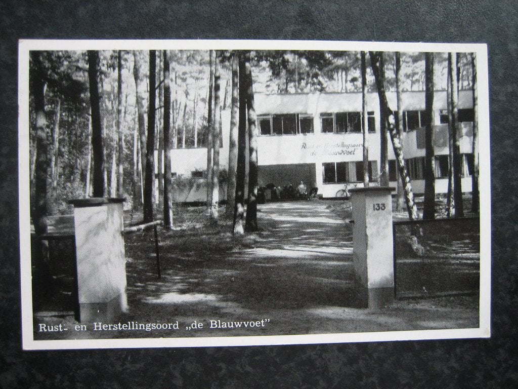 DRIEBERGEN  Rust en Herst. oord De Blauwvoet  1956, Ophalen of Verzenden, 1940 tot 1960, Utrecht