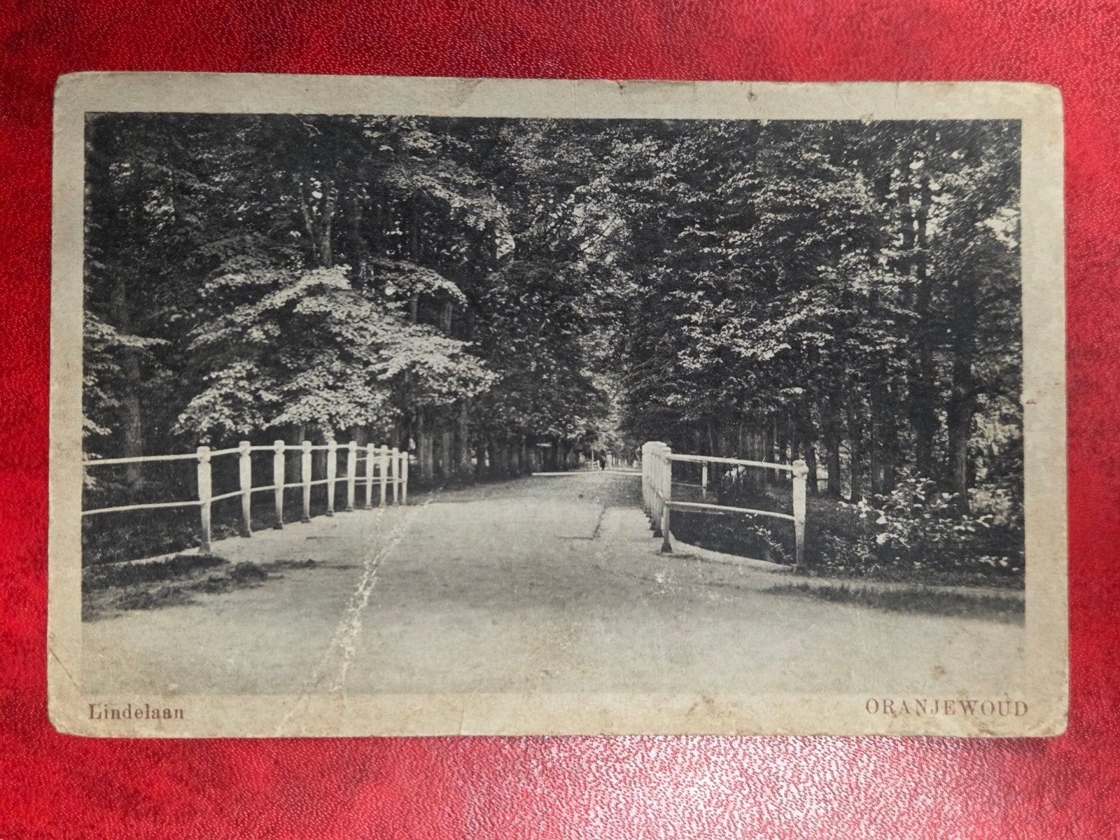 Oranjewoud bij Heerenveen Lindelaan, Ophalen of Verzenden, Voor 1920, Friesland