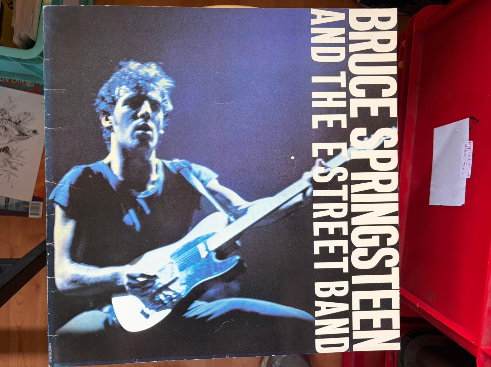 Bruce Springsteen & The E Street Band boek met foto's, Ophalen of Verzenden, Zo goed als nieuw, Artiest