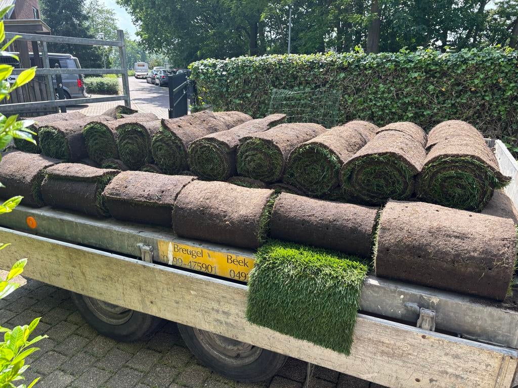 Vers graszoden voor een prachtig gazon, Tuin en Terras, Gras en Kunstgras, Zo goed als nieuw, Gras, 20 m² of meer, Ophalen of Verzenden