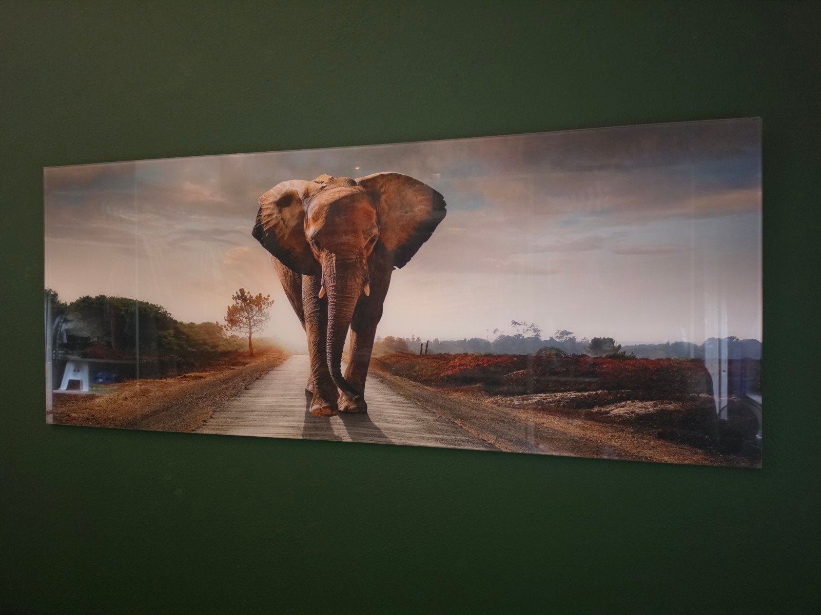 Foto op glas van olifant op weg, Ophalen, 50 – 75, Gebruikt, Schilderij