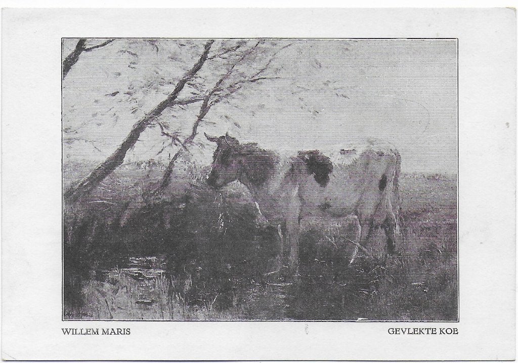 Willem maris Gevlekte koe Ansichtkaart (B5788 ) Ongelopen, Ophalen of Verzenden, 1940 tot 1960, Ongelopen