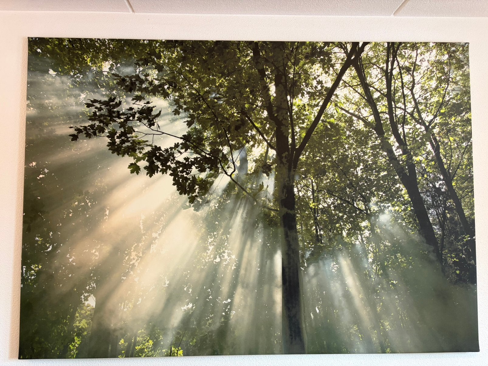 IKEA PREMIÄR wandschilderij 200x140, Ophalen, Gebruikt, 125 cm of meer, Print