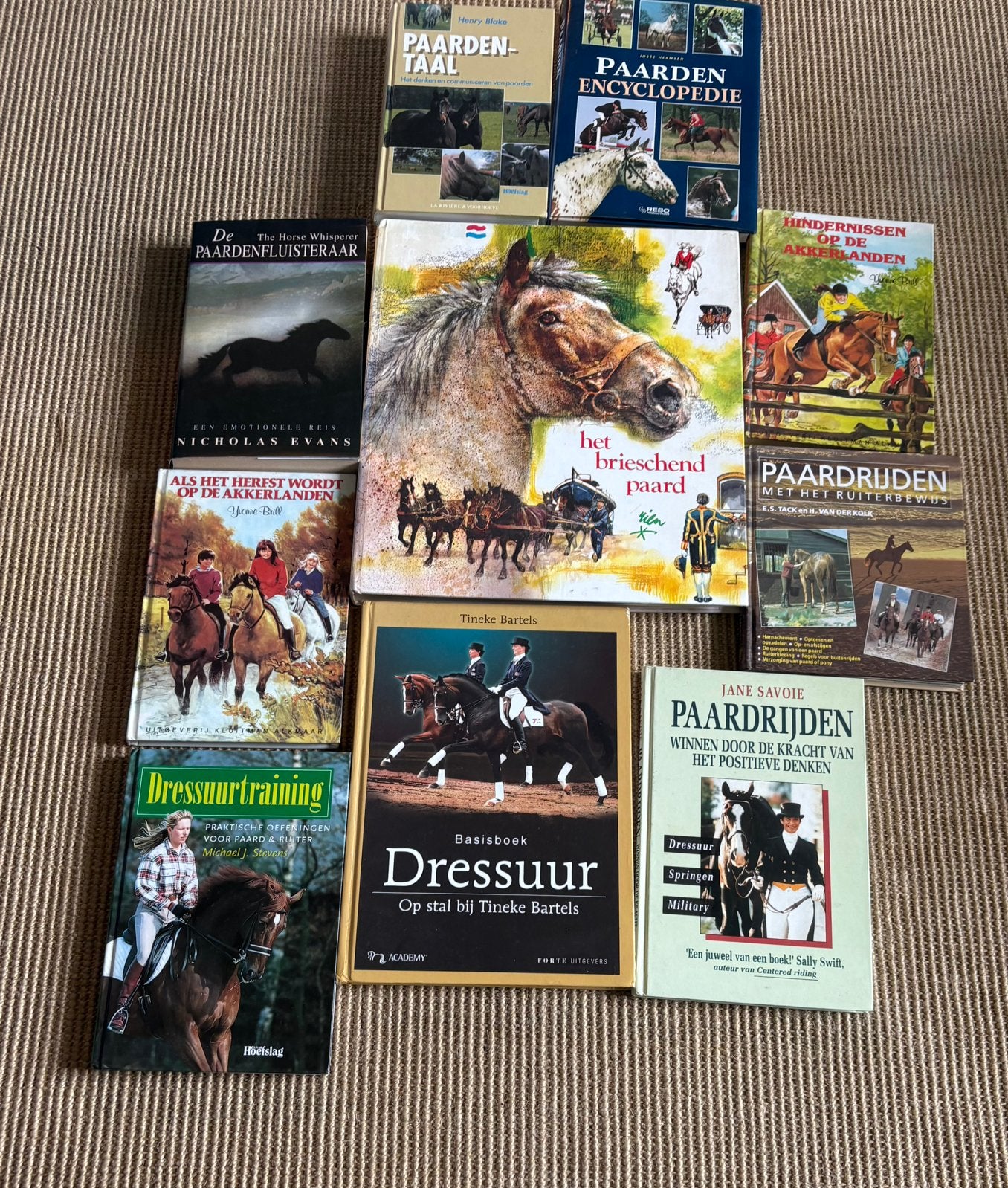 10 paardenboeken – dressuur, paardrijden & paardenverzorging, Ophalen, Zo goed als nieuw, Honden