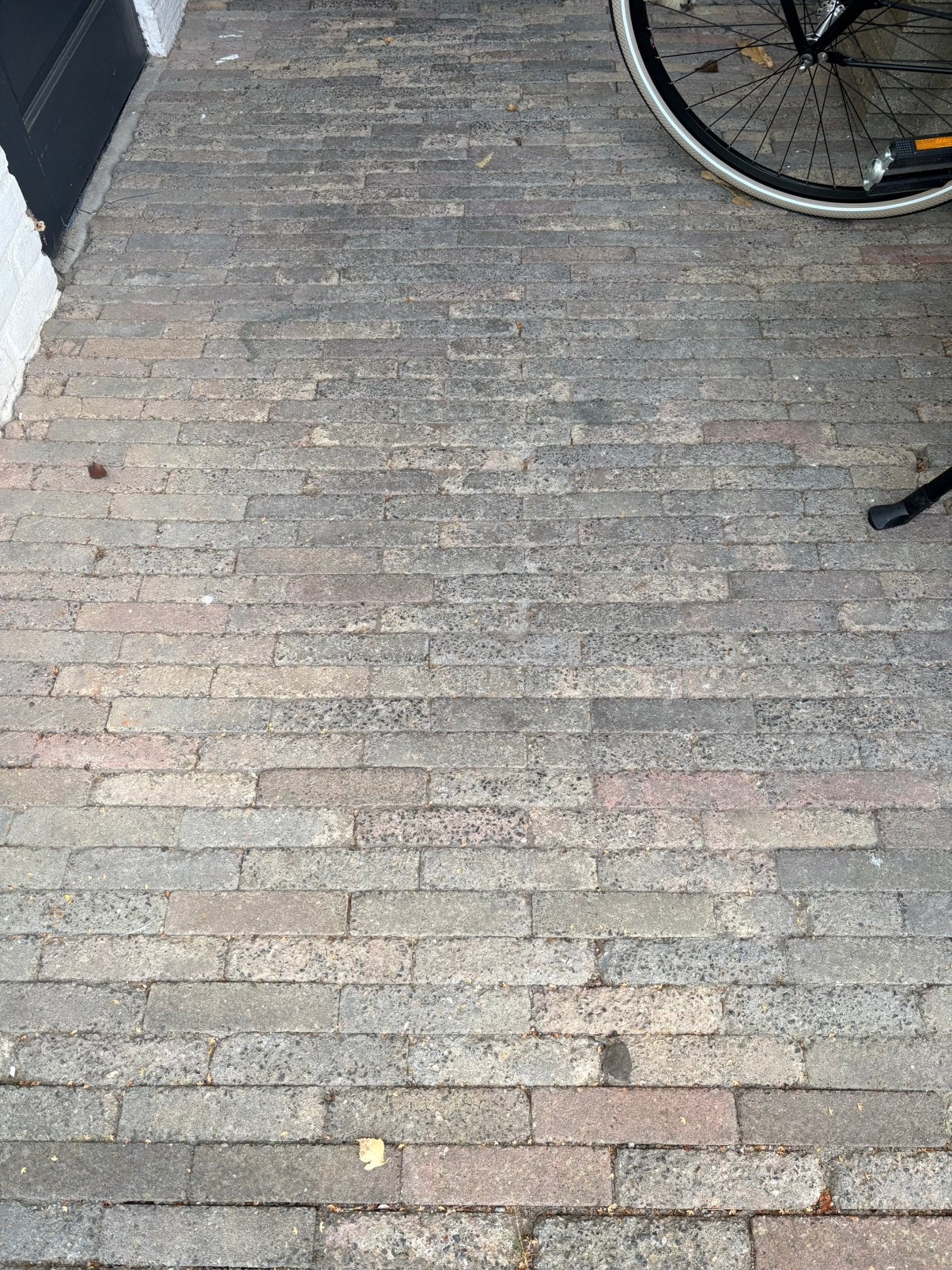 8m2 waaltjes gratis, Ophalen, Overige materialen, Gebruikt, Overige typen