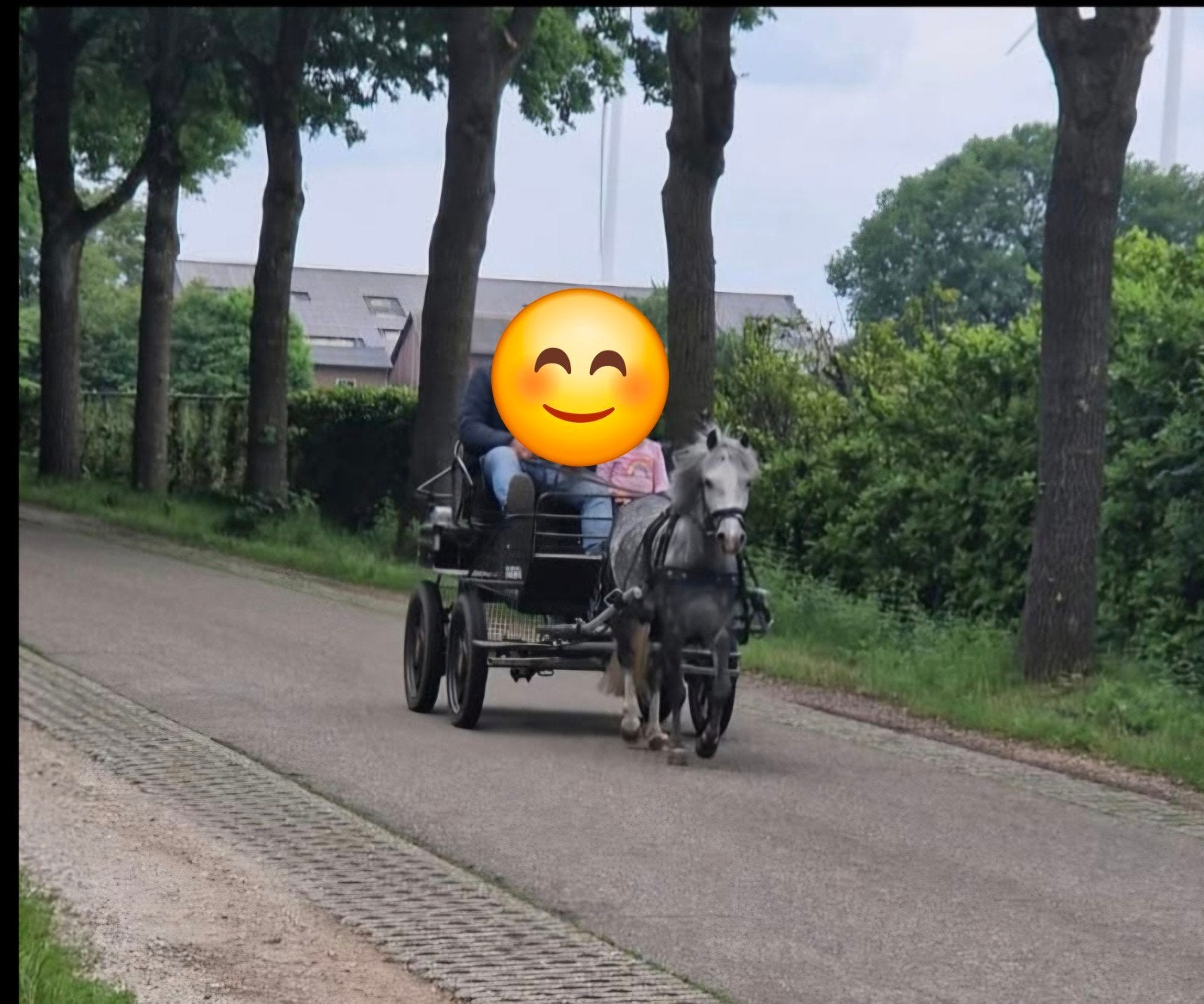 Maratonwagen enkel en dubbelspan, Gebruikt, Marathonwagen, Pony