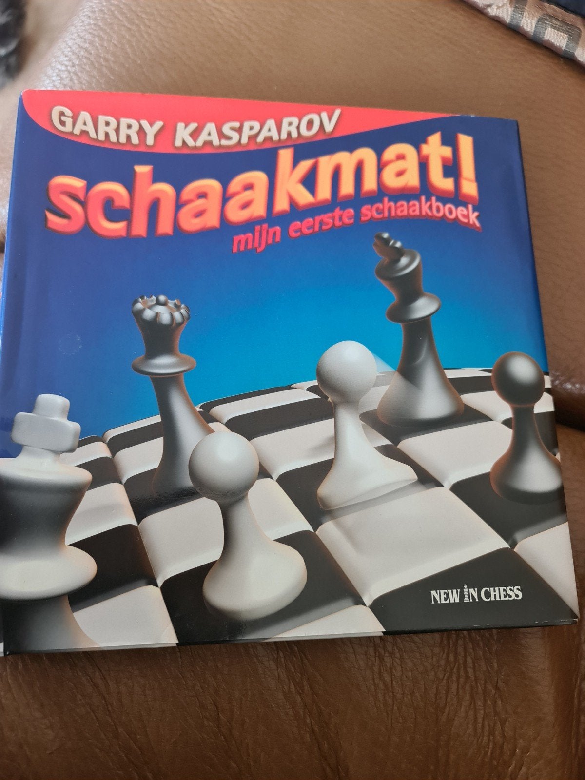 Schaakmat! Mijn eerste schaakboek - Garry Kasparov, Boeken, Ophalen of Verzenden, Zo goed als nieuw