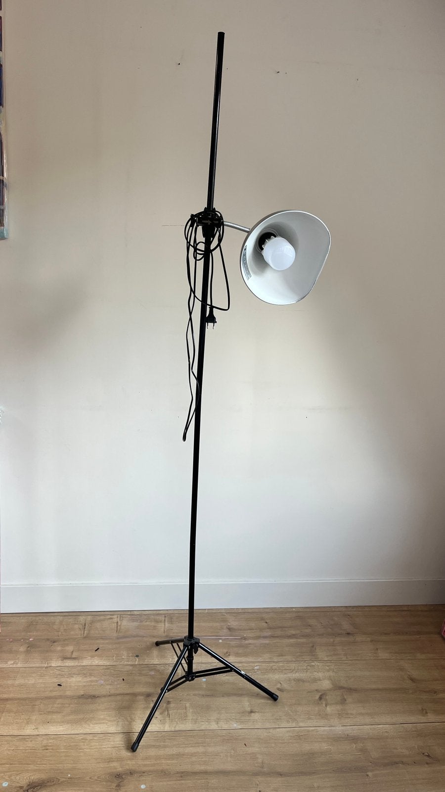 Daglicht lamp schilderen, Ophalen, Gebruikt