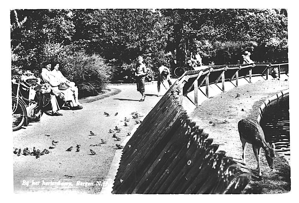 947092 Bergen NH 1963 Hertenkamp Gelopen met Postzegel