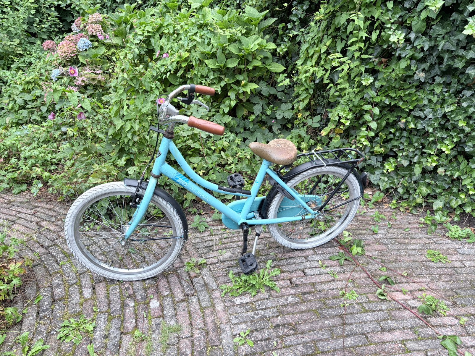 20/22inch fiets bike, Ophalen, Gebruikt, 20 inch of meer