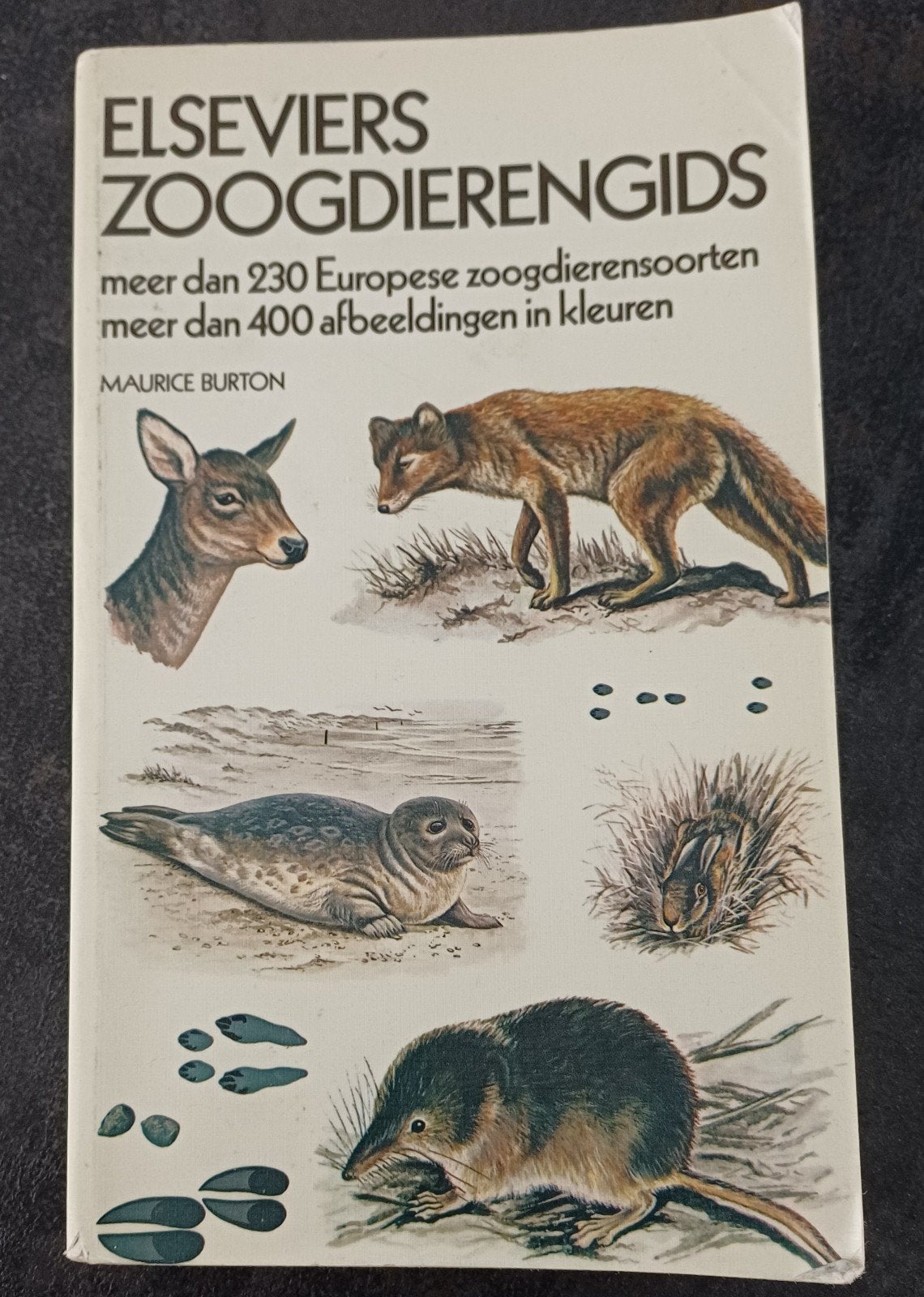 Elseviers Zoogdierengids - Maurice Burton, Ophalen of Verzenden, Gelezen, Natuur algemeen, Maurice Burton