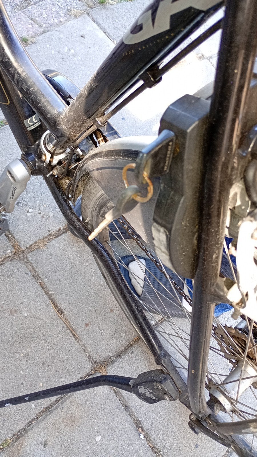 Een leuke damesfiets te koop, Ophalen