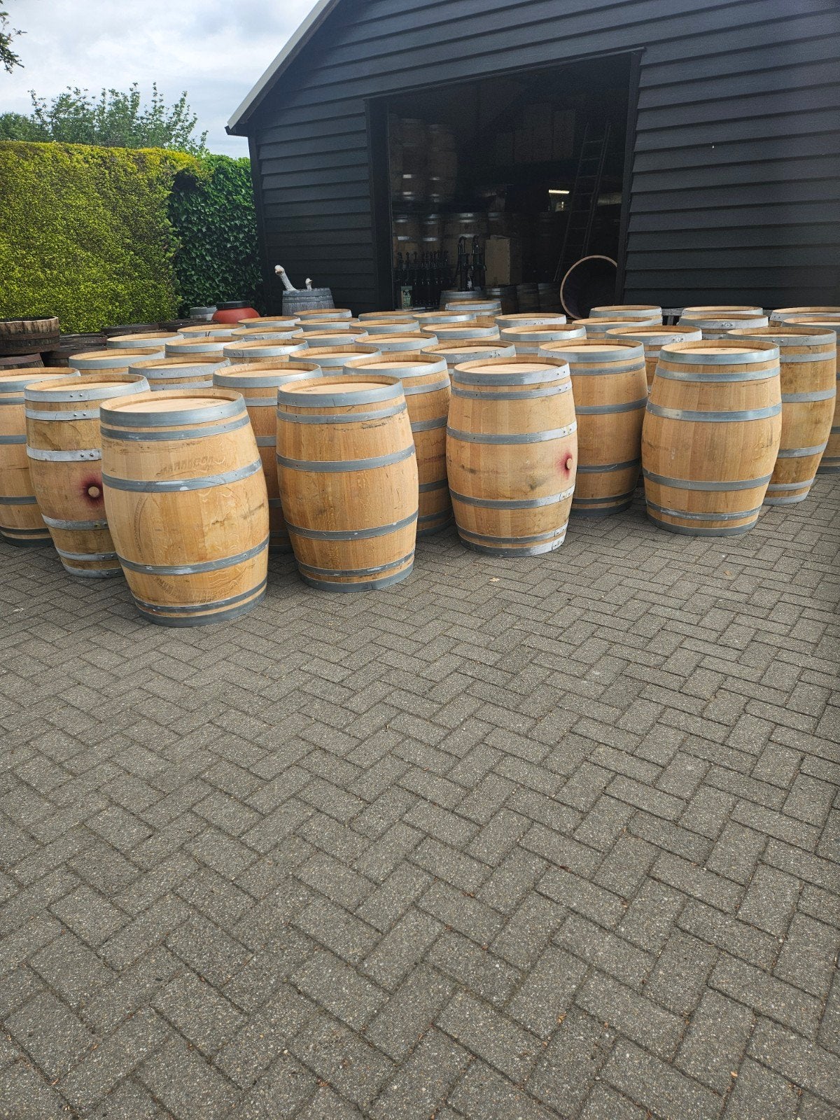 Regenton bloembakken wiskeyvaten  ijsbad drinkenbak, Rond, Nieuw, Ophalen of Verzenden, 60 tot 100 cm