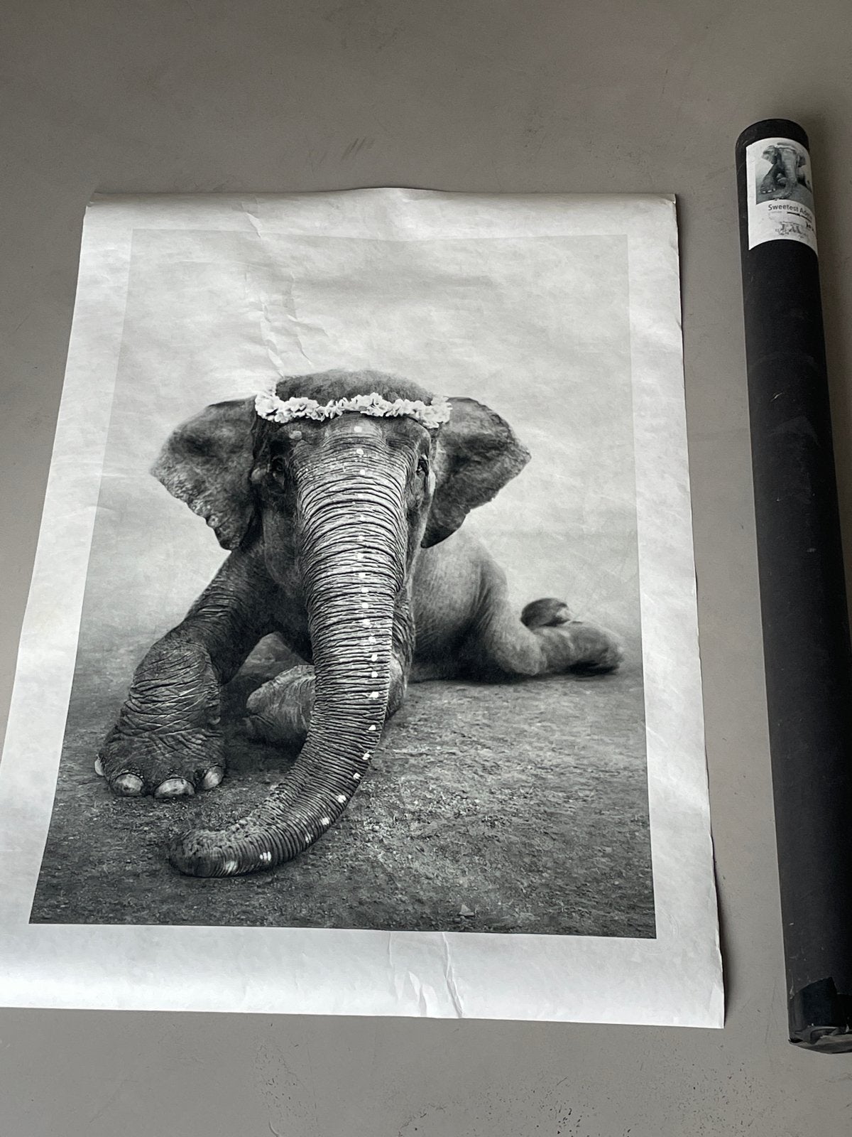 Love Warriors Poster Sweetest Adele 70x100 cm, Verzamelen, Rechthoekig Staand, Deurposter of groter, Nieuw, Ophalen of Verzenden