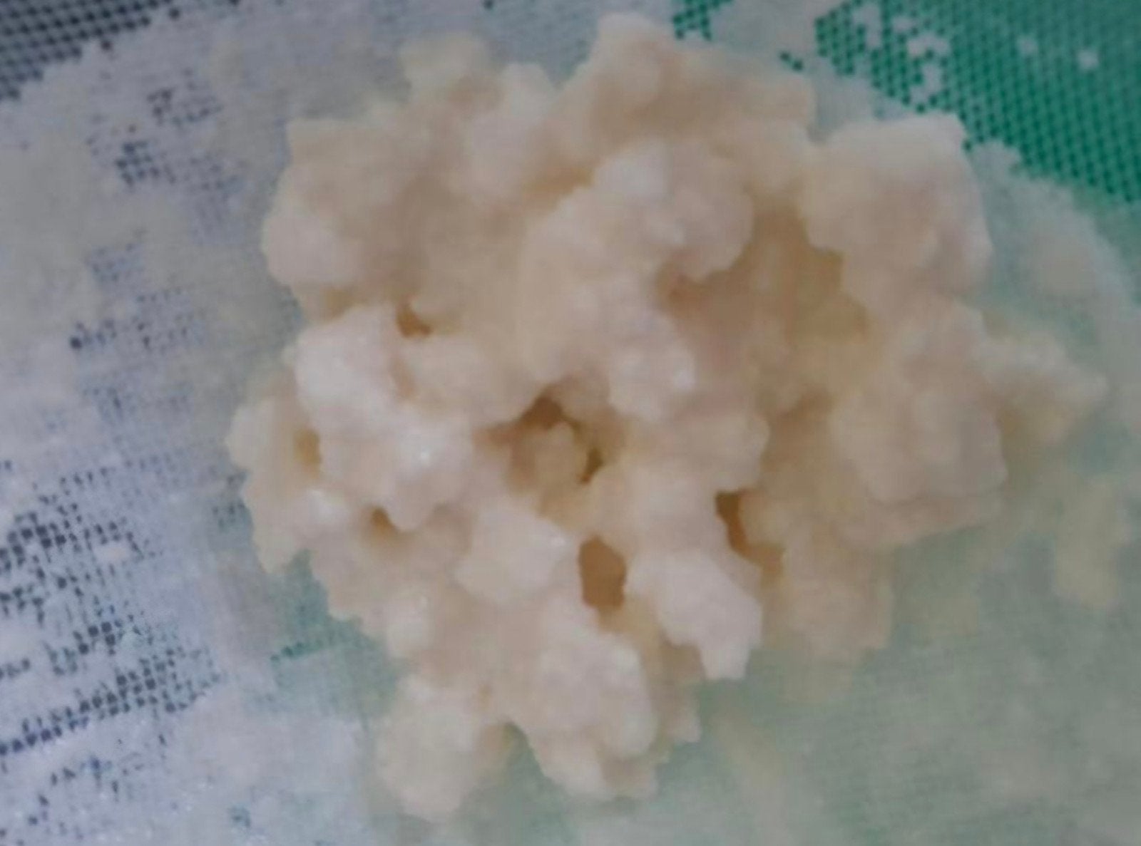 Actieve melk kefir gratis/ruilen, Ophalen
