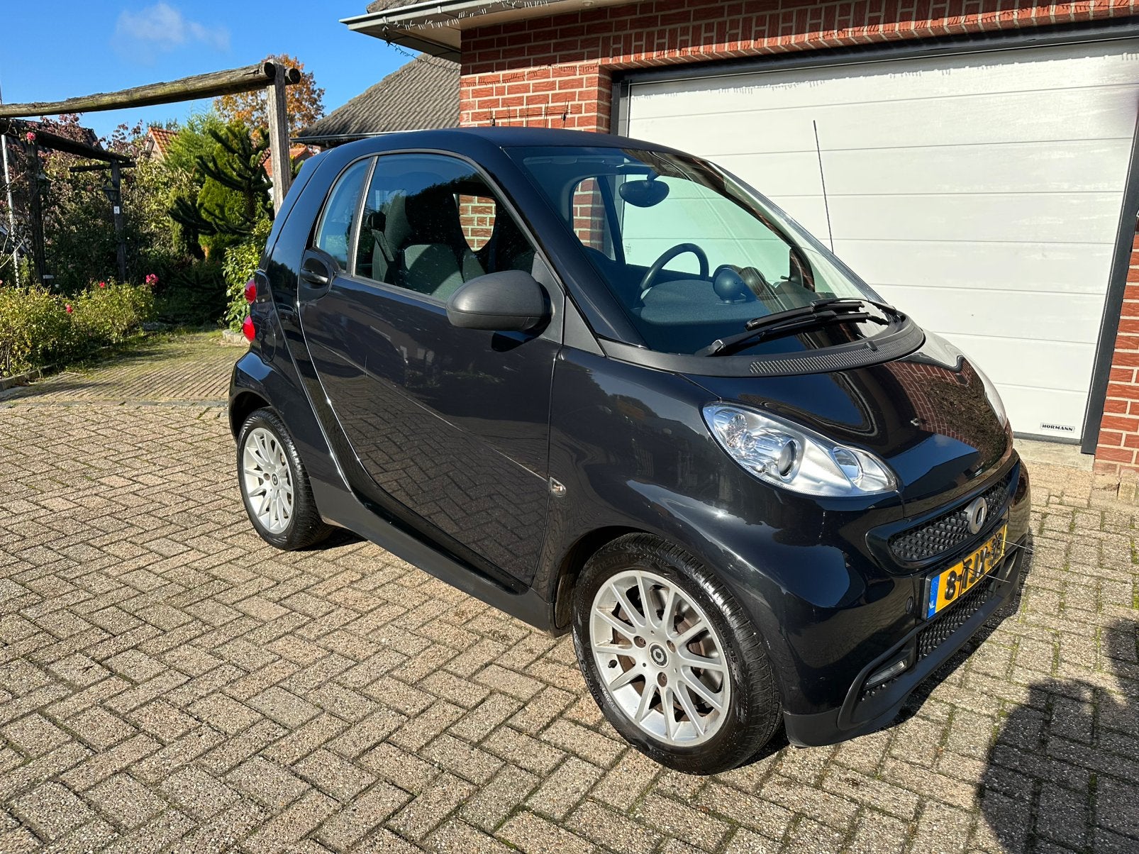 Smart smart Fortwo