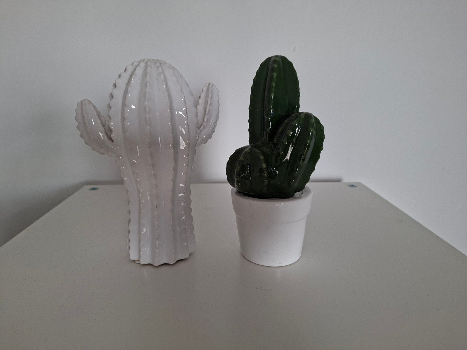 cactus beeldjes, Ophalen of Verzenden, Nieuw, Wit, Steen/keramiek