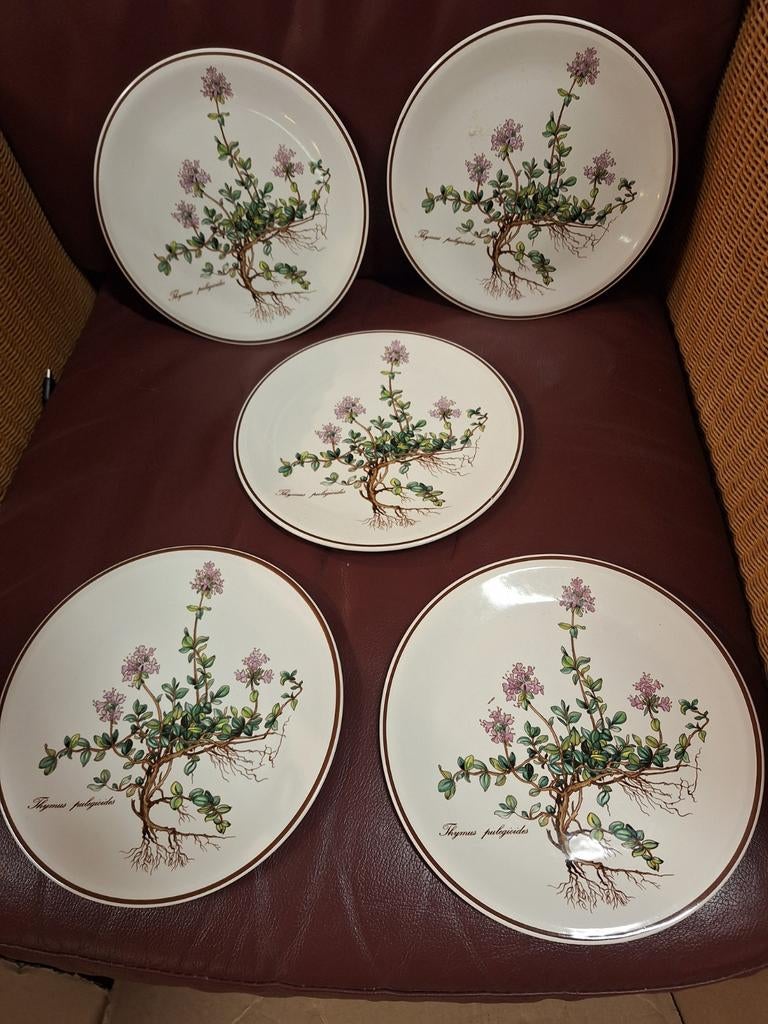 Villeroy & Boch Botanica platte borden - Thyme, Ophalen of Verzenden