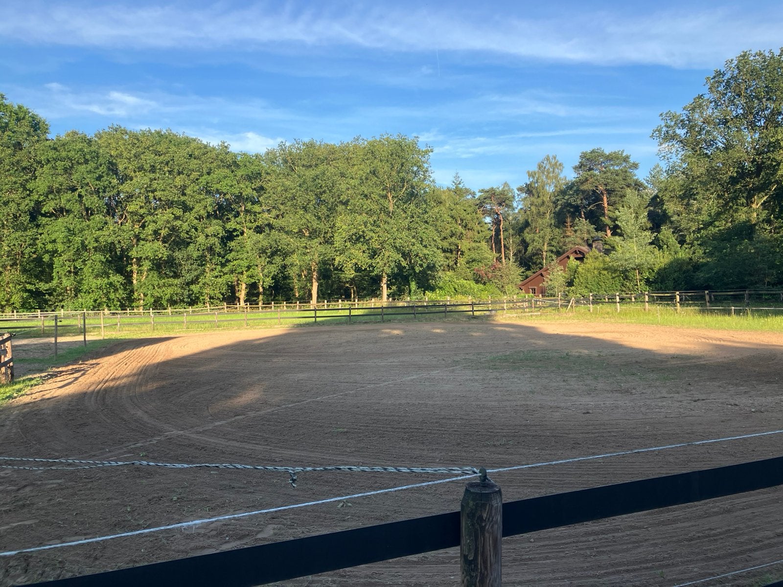 1 stal te huur aan het bos in Maarsbergen, Dieren en Toebehoren, Stalling en Weidegang, Weidegang, 1 paard of pony