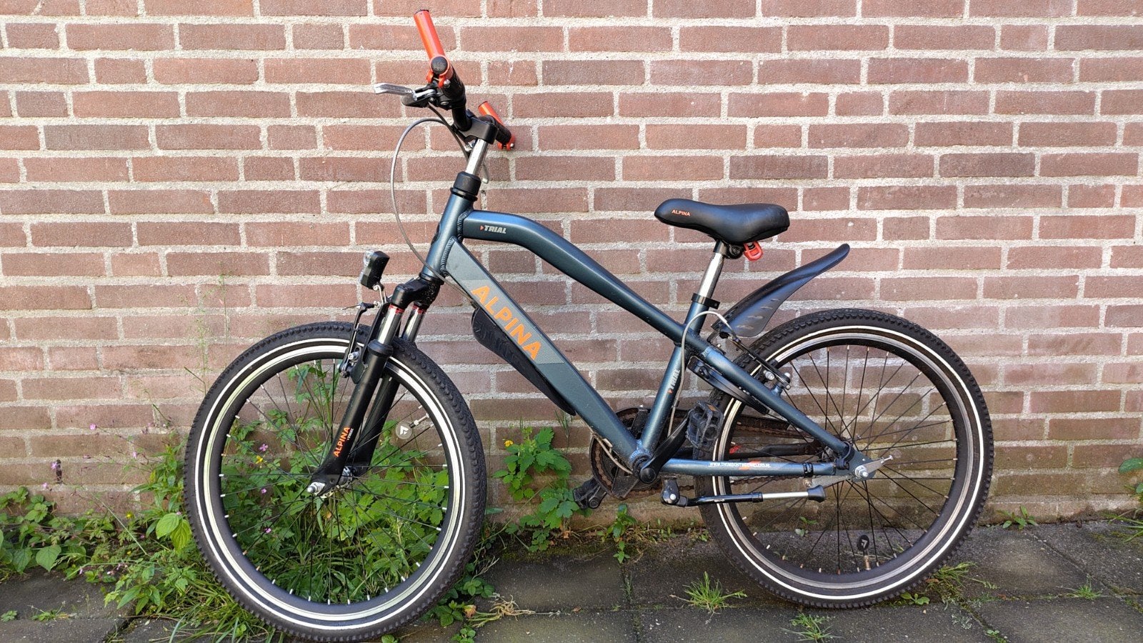 Alpina Trial 22 inch, weinig gebruikt, Fietsen en Brommers, Fietsen | Jongens, Ophalen, Terugtraprem, 22 inch, Alpina Trial