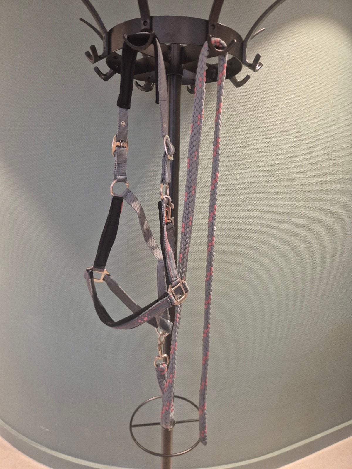 Halster met halstertouw, Ophalen of Verzenden
