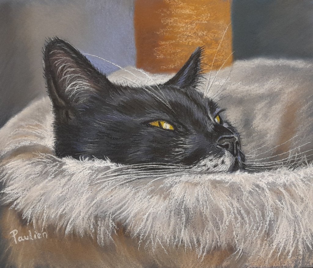 Schilderij kat - GRATIS VERZENDING -origineel cadeau, Ophalen of Verzenden, Gesigneerd, Pastel, Dieren