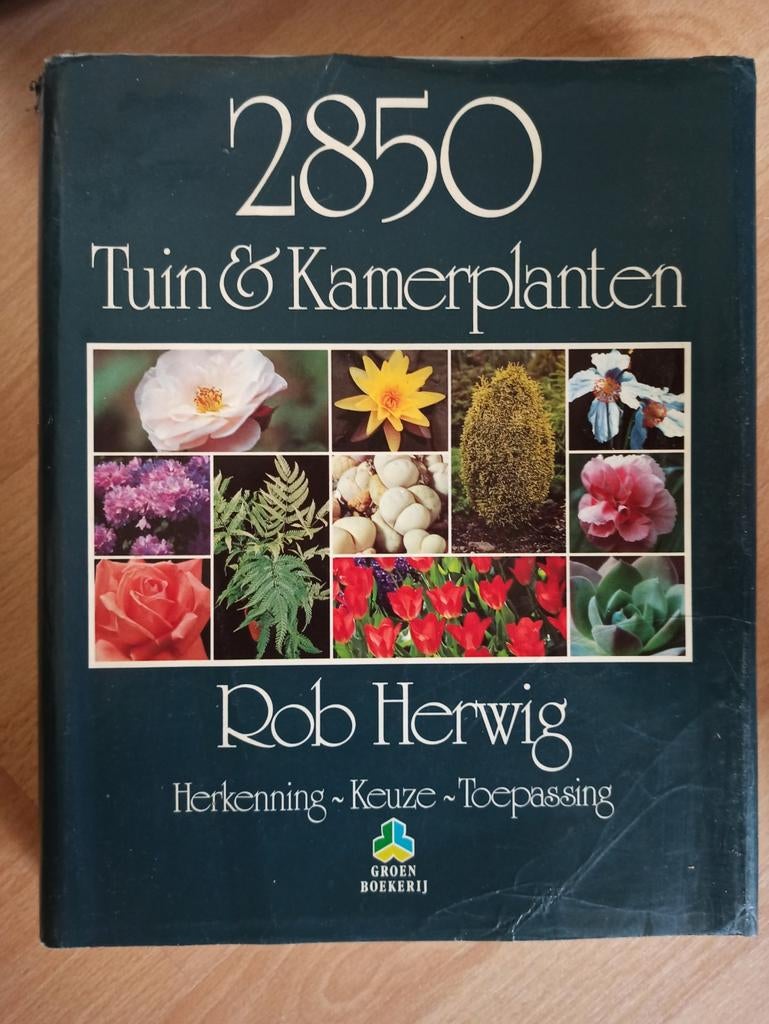 2850 Tuin & Kamerplanten - Rob Herwig, Ophalen of Verzenden, Overige soorten, Volle zon