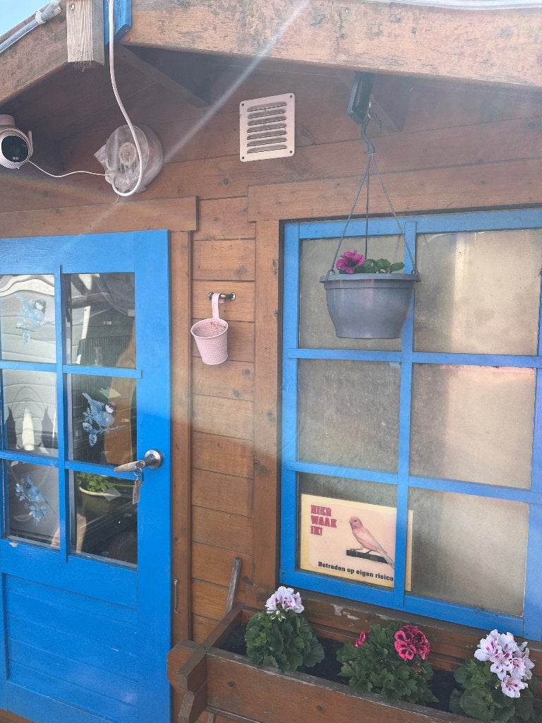 Blokhut/tuinhuis, Tuin en Terras, Tuinhuizen, Ophalen, 250 tot 500 cm, Blokhut, 2 ramen