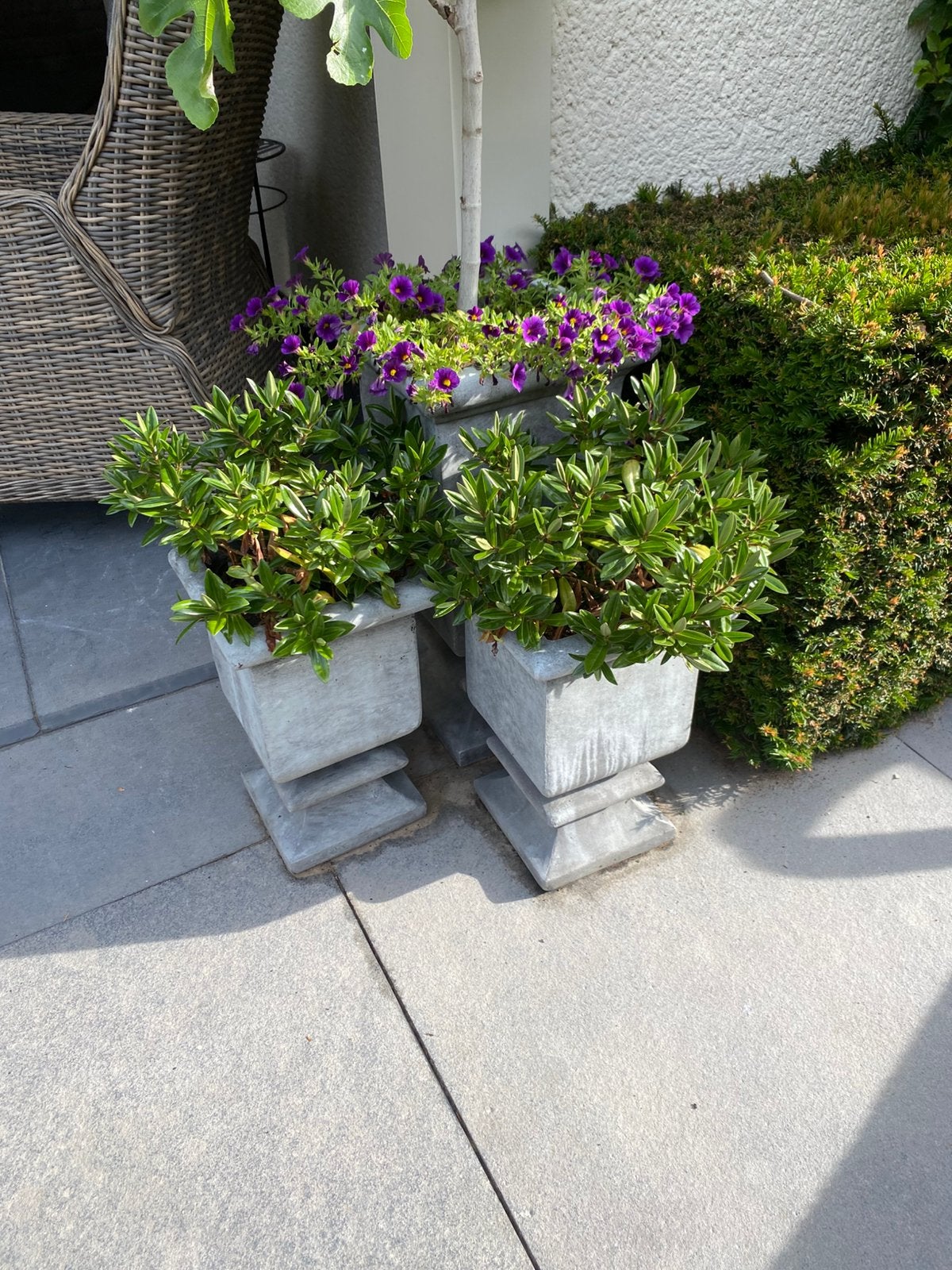 3 x pot met planten, Tuin en Terras, Bloembakken en Plantenbakken, Ophalen, Gebruikt, Vierkant, Minder dan 30 cm