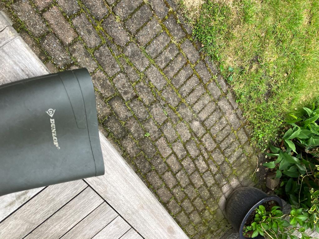 Regen en of wandellaarzen in goede staat merk dunlop maat 43, Ophalen of Verzenden, Zo goed als nieuw, Laarzen