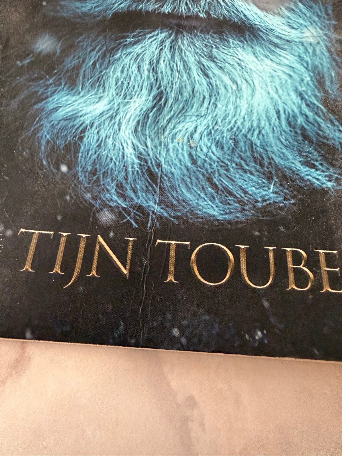 Time Bender: De man die de aarde kwam redden - Tijn Touber, Ophalen of Verzenden, Gelezen, Spiritualiteit algemeen, Achtergrond en Informatie