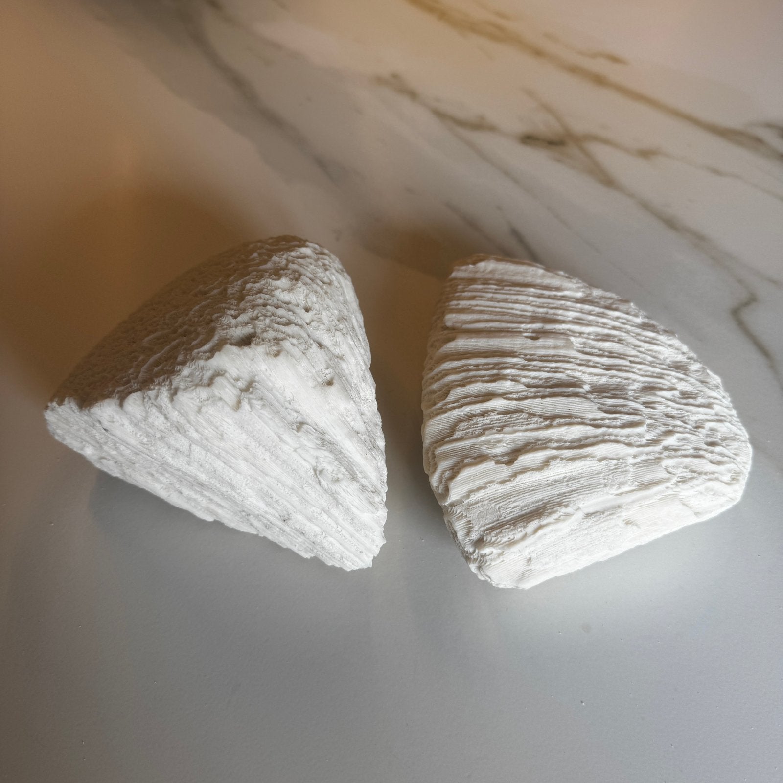 Versteend Koraal uit Curaçao – Decoratief Object, Ophalen of Verzenden, Gebruikt