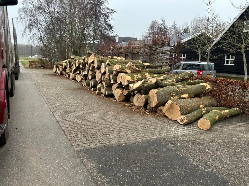 Stamhout brandhout: voor zowel grote als kleine afnames, Tuin en Terras, Haardhout, 6 m³ of meer, Ophalen, Stammen