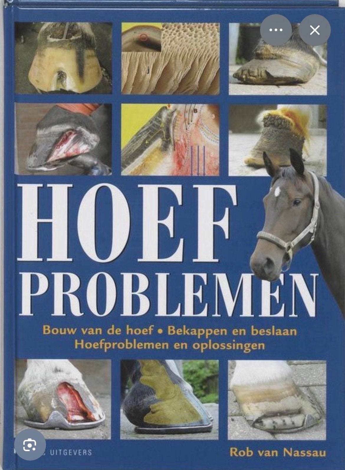 Hoefproblemen: Bouw, Bekappen, Beslaan en Oplossingen, Ophalen of Verzenden, Gelezen, Paarden of Pony's
