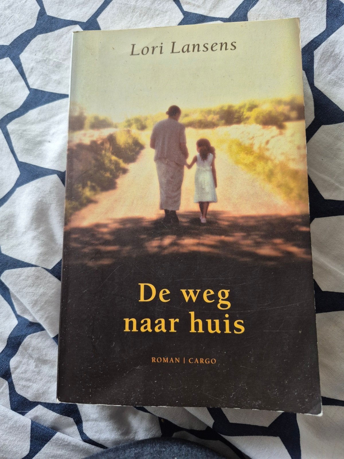 De weg naar huis - Lori Lansens (Roman), Ophalen of Verzenden, Gelezen, Lori Lansens