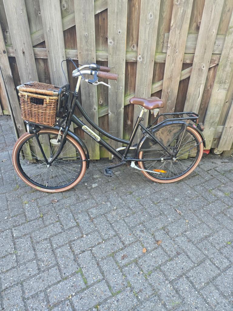 Popal Daily Dutch Basic kinderfiets met mand, Overige merken, Velgrem, Ophalen of Verzenden, 50 tot 53 cm