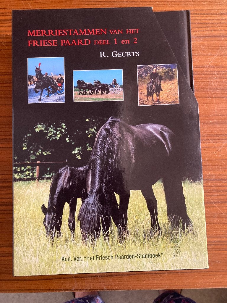 Boeken Friese paarden, Ophalen, Zo goed als nieuw, Sport, Hobby en Vrije tijd