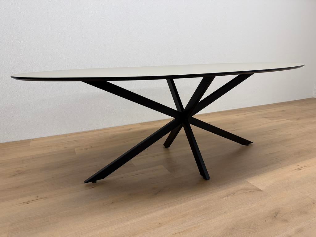 Ovale eettafel HPL Beige 220x100 - Direct Leverbaar, 100 tot 150 cm, 200 cm of meer, Ophalen of Verzenden, Zo goed als nieuw