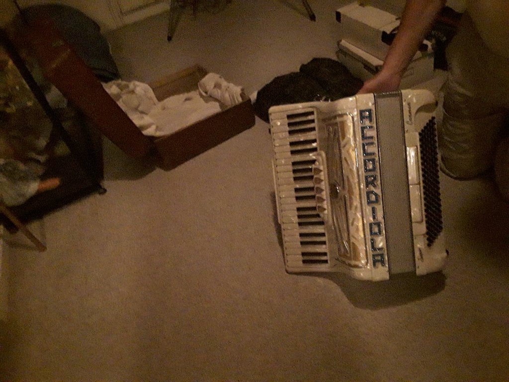 Accordiola accordeon 120 bassen, Ophalen, Gebruikt, Met koffer, Toetsaccordeon