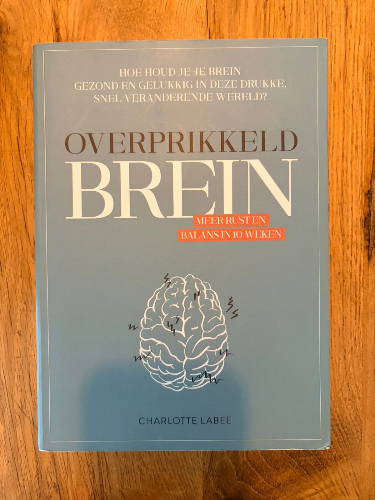 Charlotte Labee boek “Overprikkeld Brein” ZGAN!!!, Ophalen of Verzenden, Zo goed als nieuw