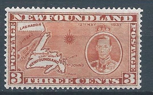 D190 - Canada - Newfoundland - MiNr 222A (ongebruikt), Postzegels en Munten, Ophalen of Verzenden, Postfris, Noord-Amerika