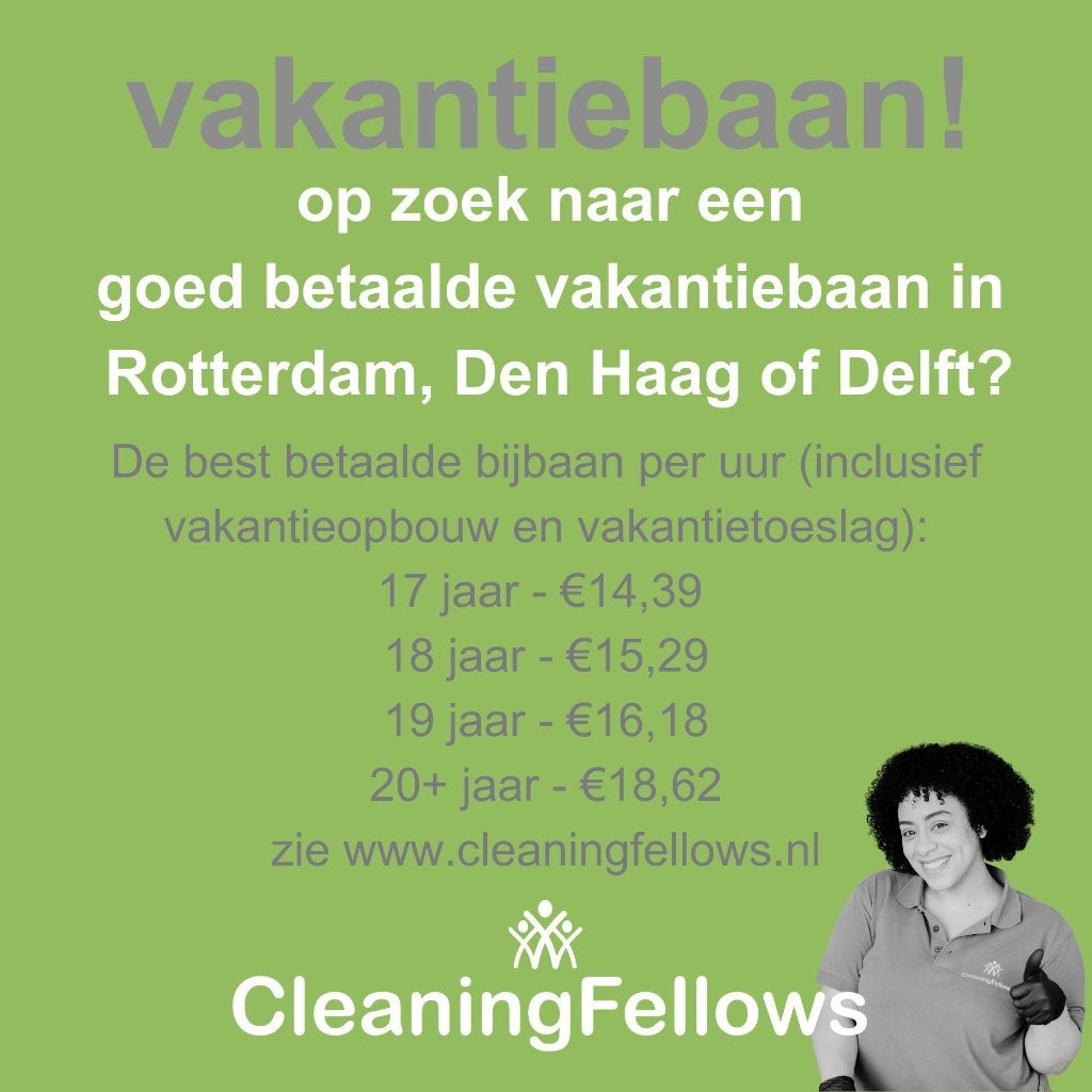 Schoonmakers Delft, Vlaardingen, Zoetermeer in vakantie, Overige uren, Vanaf 3 jaar, Overige niveaus, Tijdelijk contract