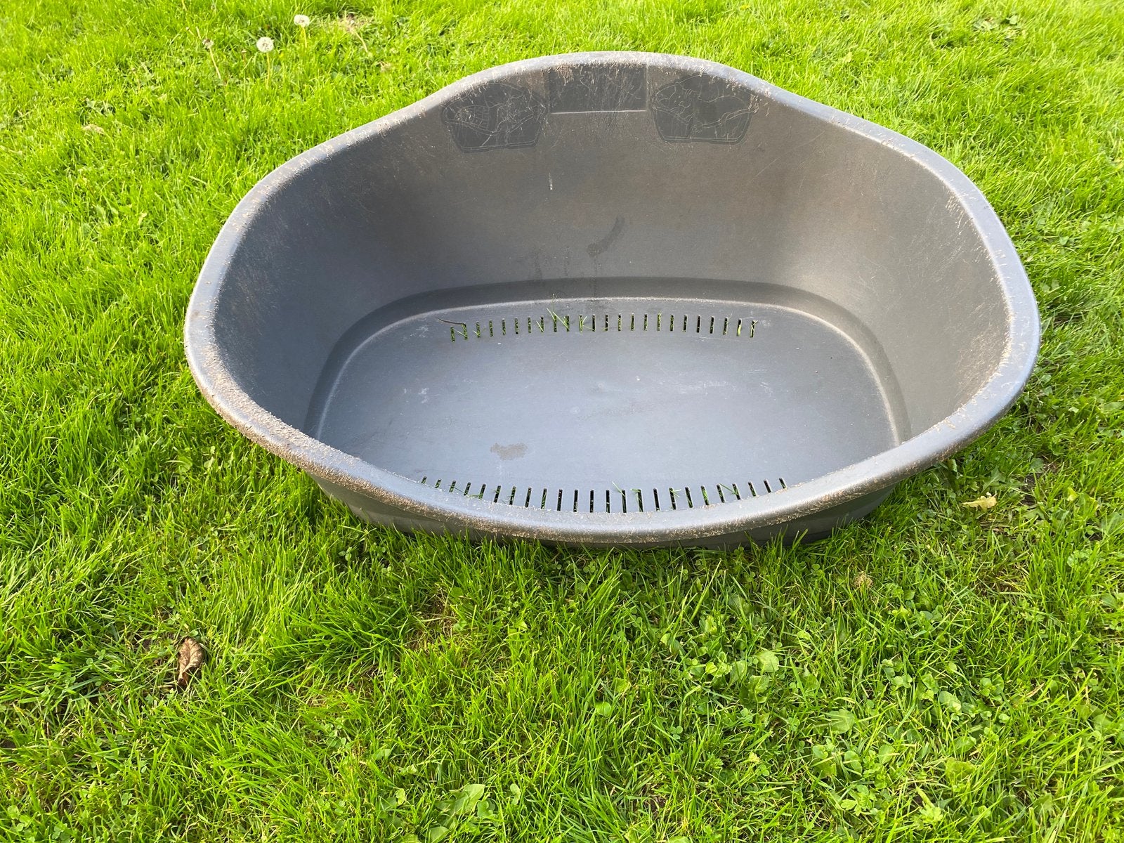 Gratis kleine hondenmand, Ophalen of Verzenden, Zo goed als nieuw, Overige