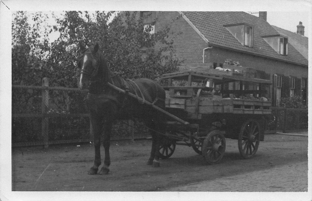 W174 Zeeland paard en wagen Groenteboer ? FOTOKAART, Verzenden, Voor 1920, Zeeland