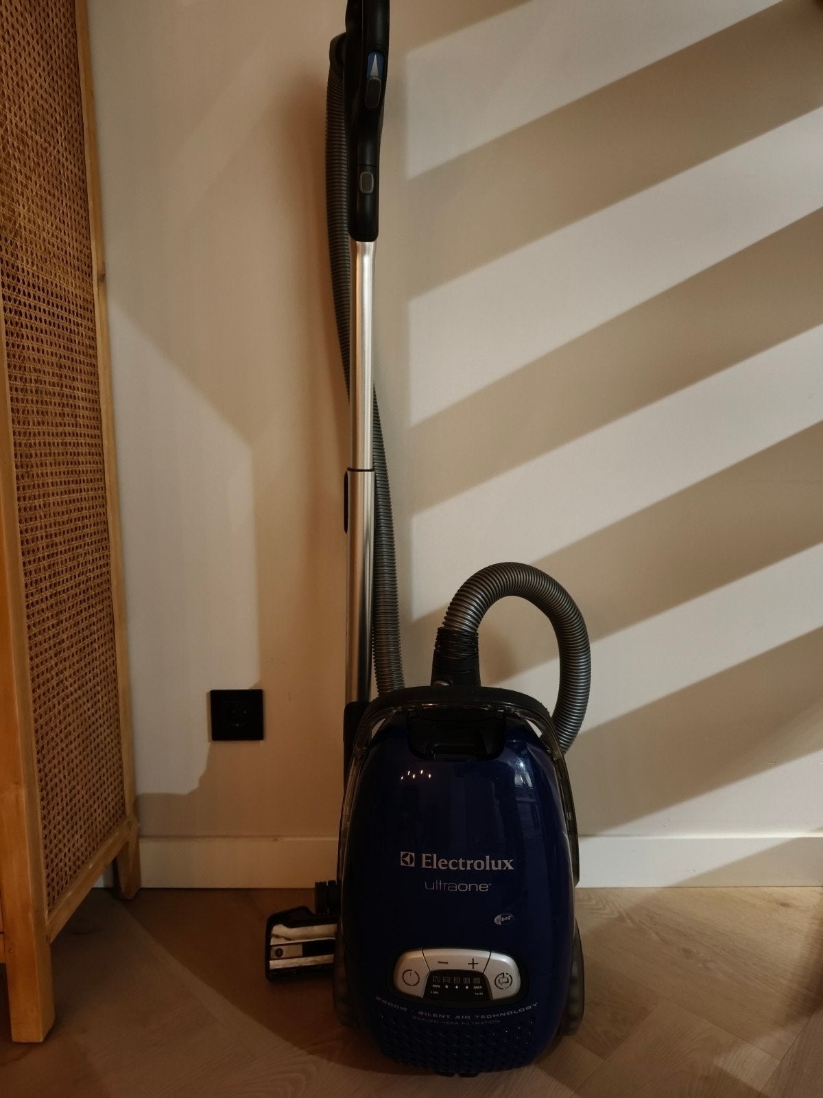 Electrolux UltraOne stofzuiger - klep licht los, Witgoed en Apparatuur, Ophalen, Gebruikt, Sledestofzuiger