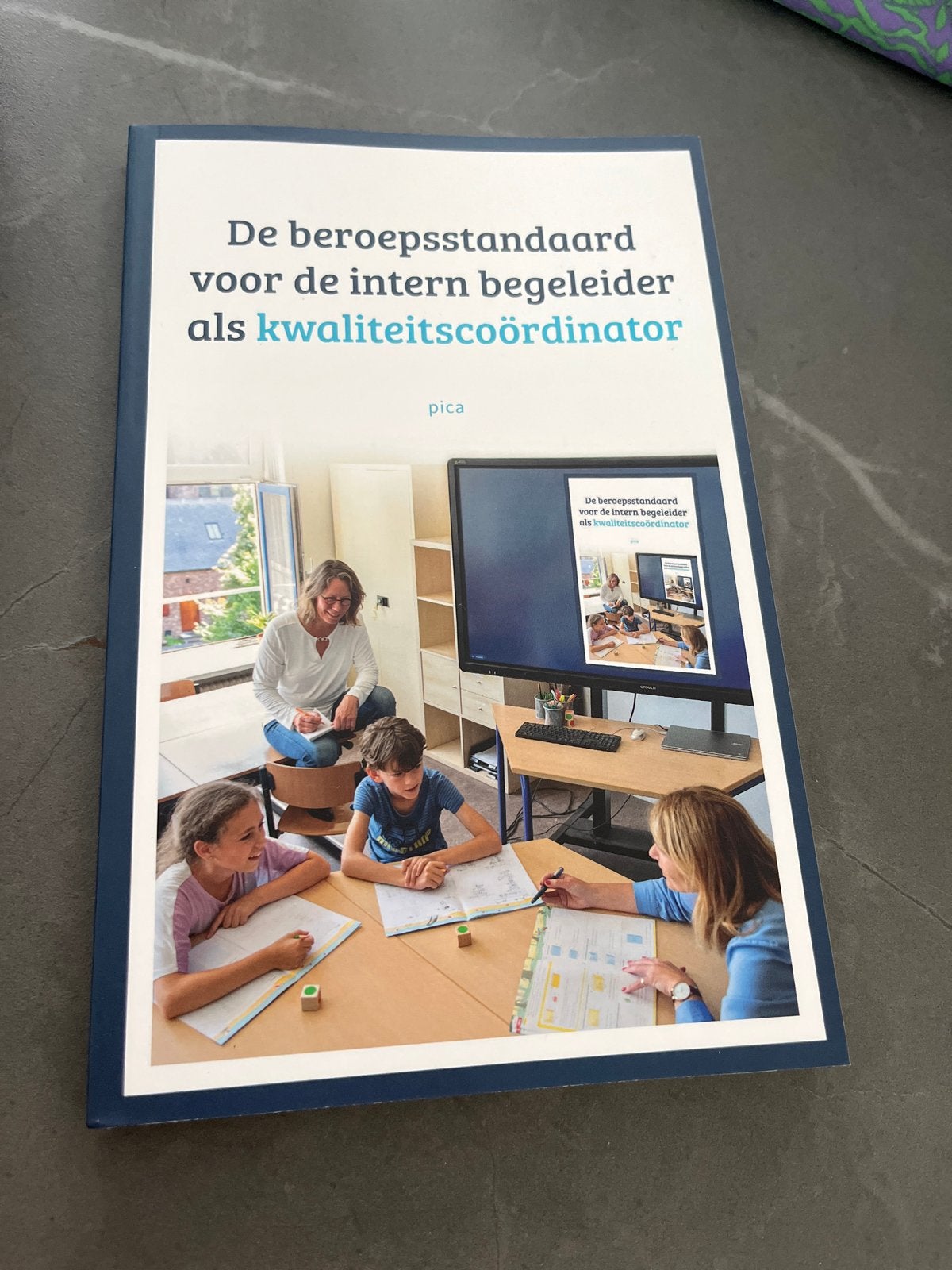 De beroepsstandaard voor de intern begeleider als kwaliteits, Boeken, Ophalen of Verzenden, Gamma, Nieuw, HBO