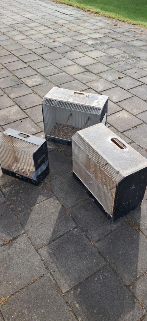 3 tentoonstellings  kooien, Dieren en Toebehoren, Ophalen of Verzenden, Hout, Vogelkooi