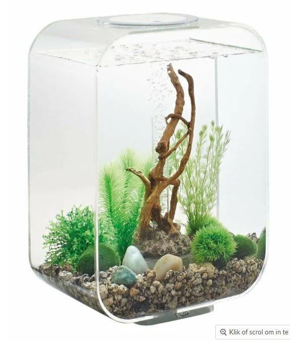 Biorb Pure Life 15 Led, Overige merken, Zo goed als nieuw, Leeg aquarium, Inclusief toebehoren