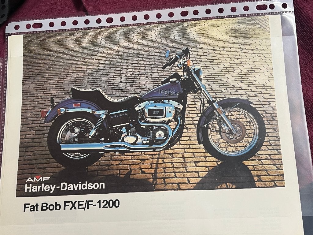 AMF Harley-Davidson Fat Bob tank 1978, Motoren, Onderdelen | Harley-Davidson, Ophalen, Gebruikt